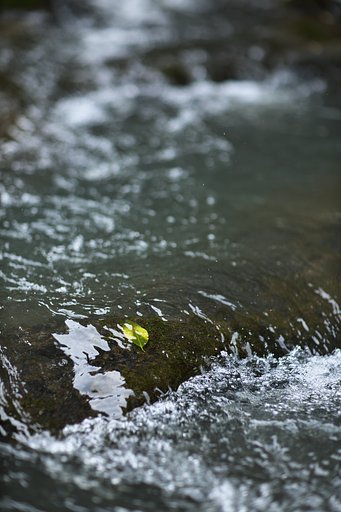 EF85mm F1.2LⅡ