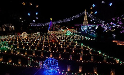 広島市植物公園のイルミ（2018）