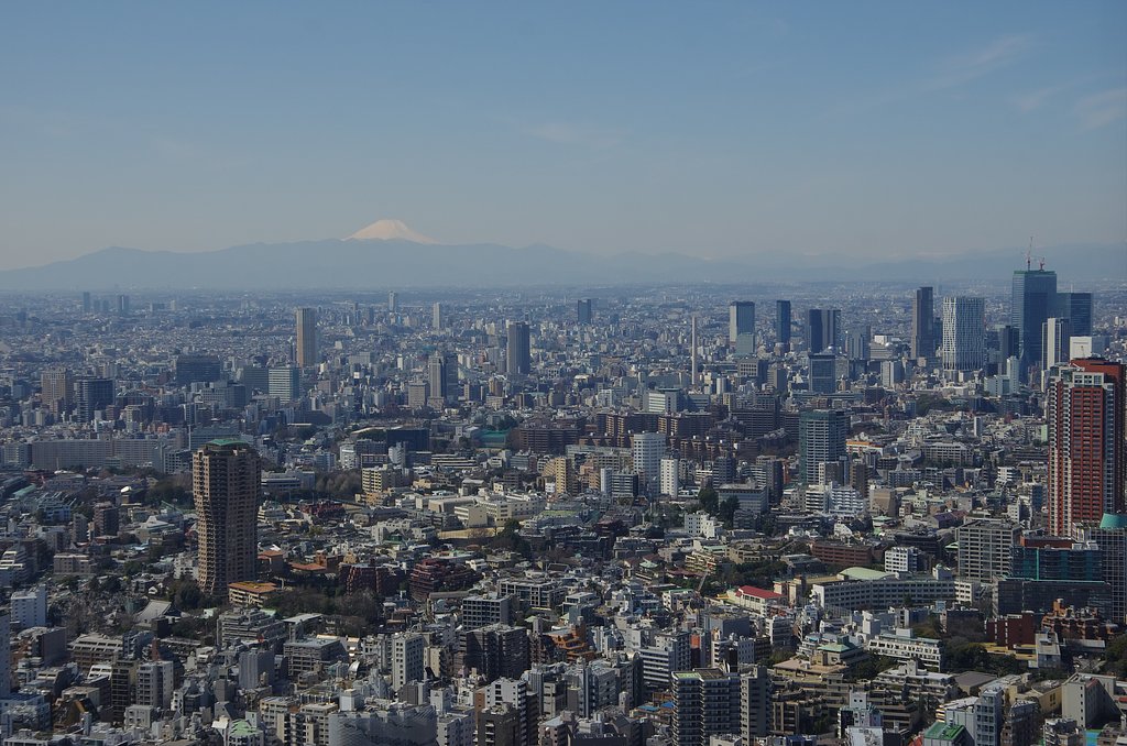 遠望
