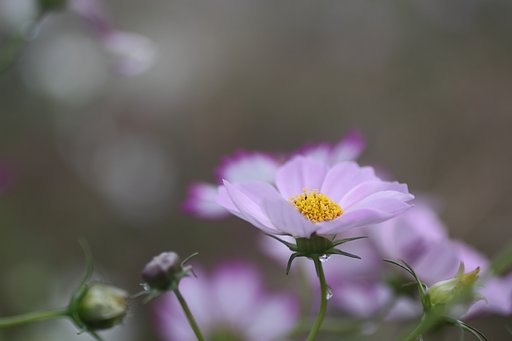 雨上がり