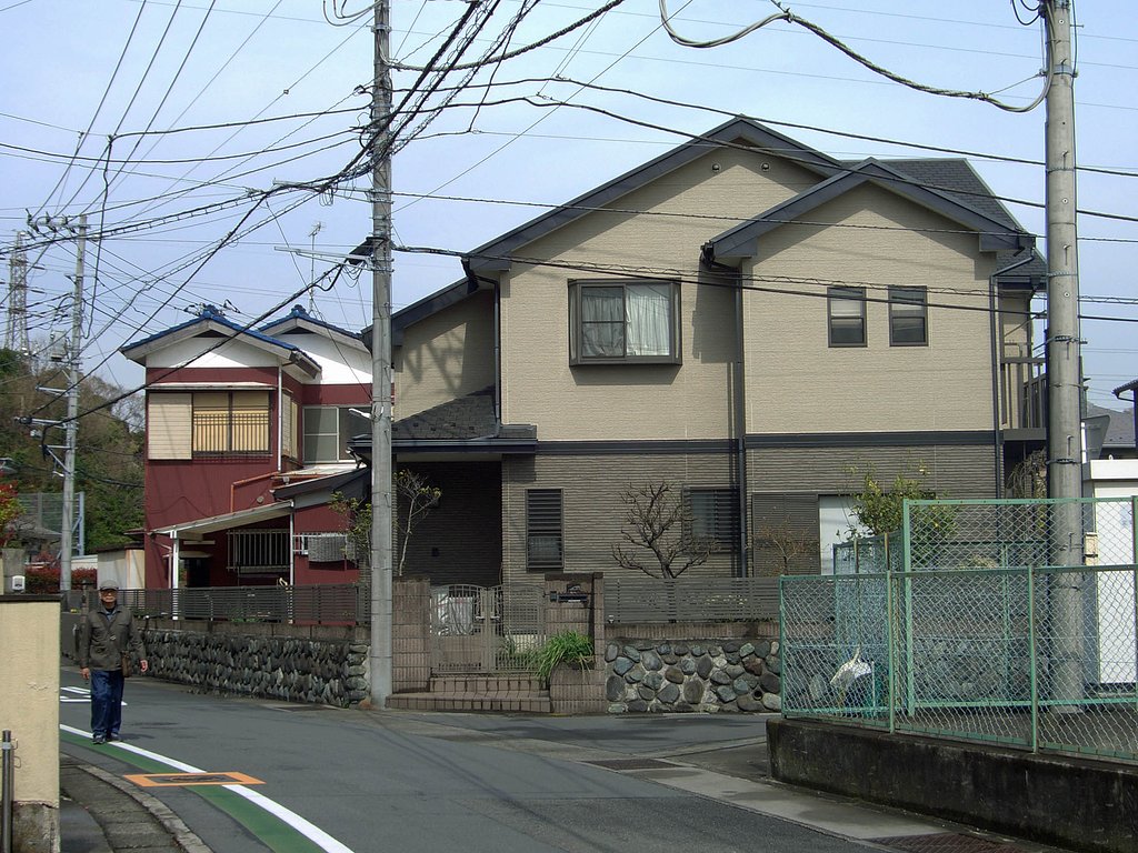 散歩道での試写