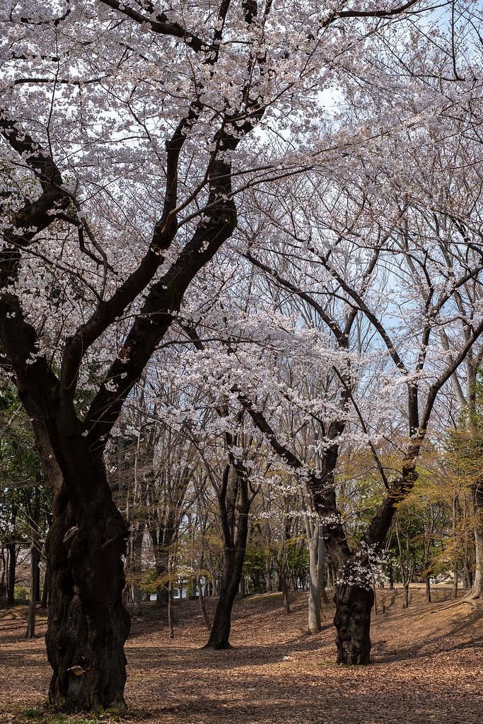 FUJINON XF35mmF1.4 R