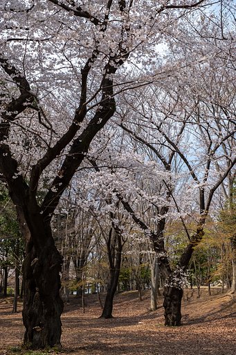FUJINON XF35mmF1.4 R
