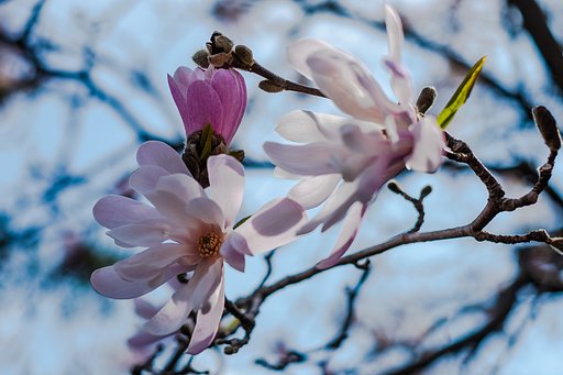 FUJINON XF35mmF1.4 R