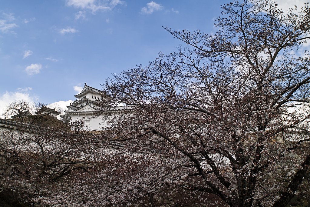 コシナツァイスD21㎜F2.8
