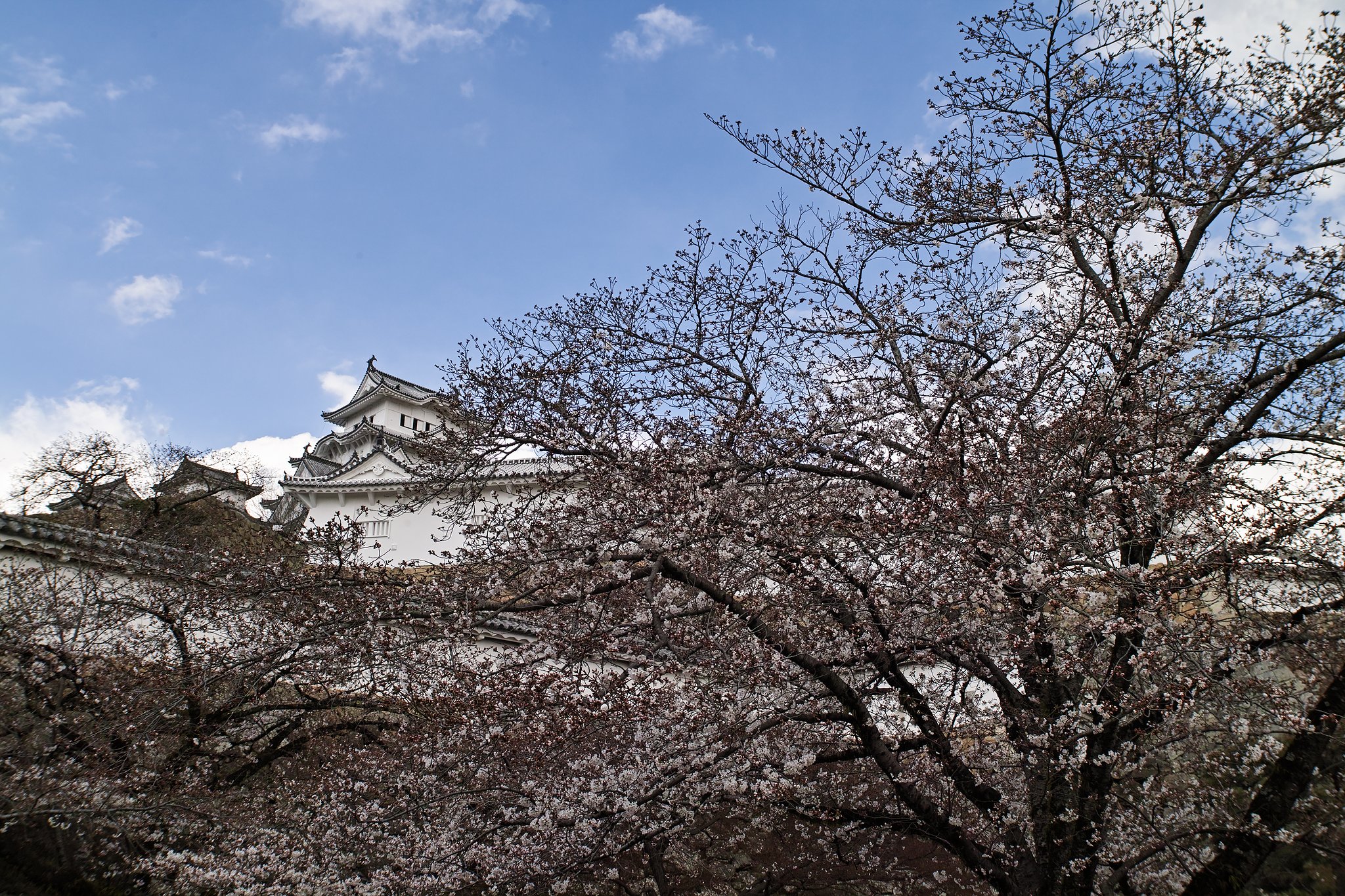 コシナツァイスD21㎜F2.8