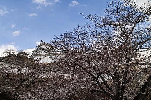 コシナツァイスD21㎜F2.8