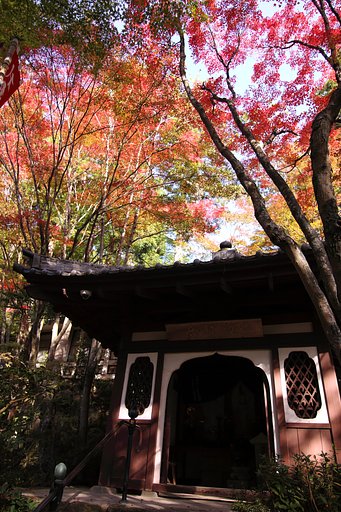 三瀧寺・陰翳礼賛・リヴァイアサン