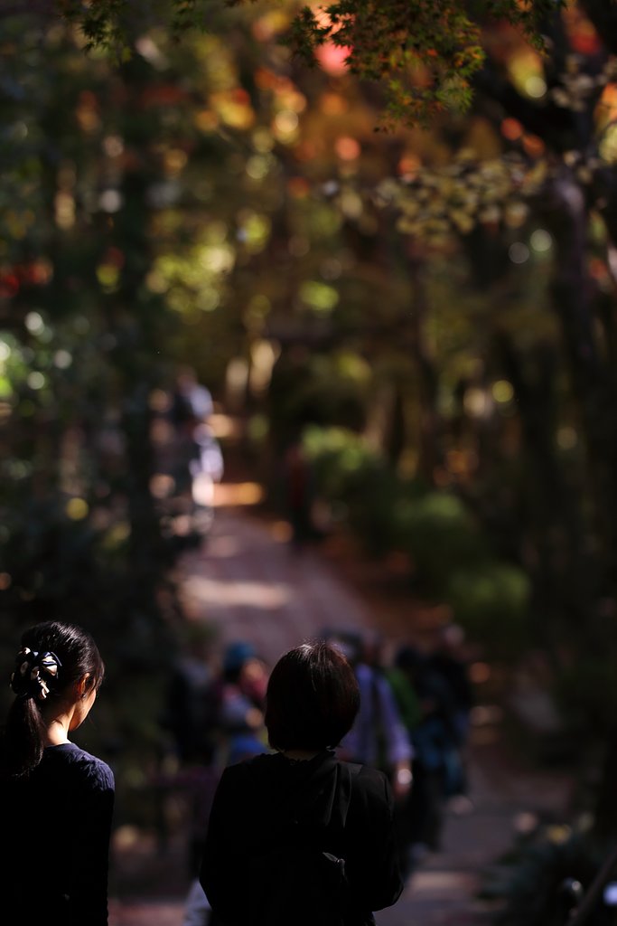 三瀧寺・参道