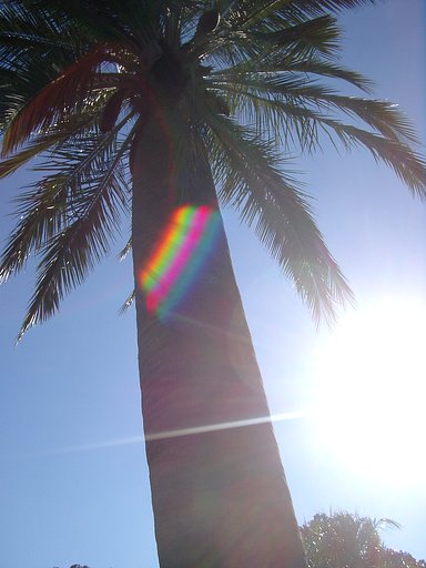 ＳＵＭＭＥＲ