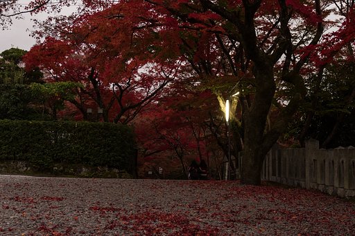 晩秋に暮れ行く Ⅱ