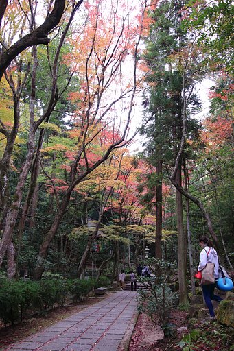 三瀧寺・外国のお客様
