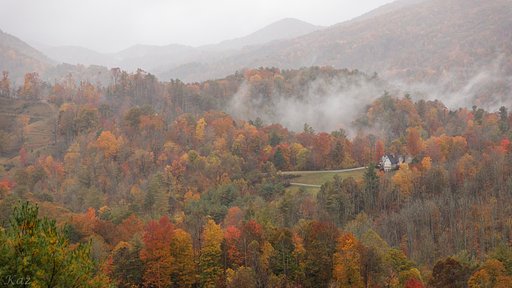 10月30日の写真