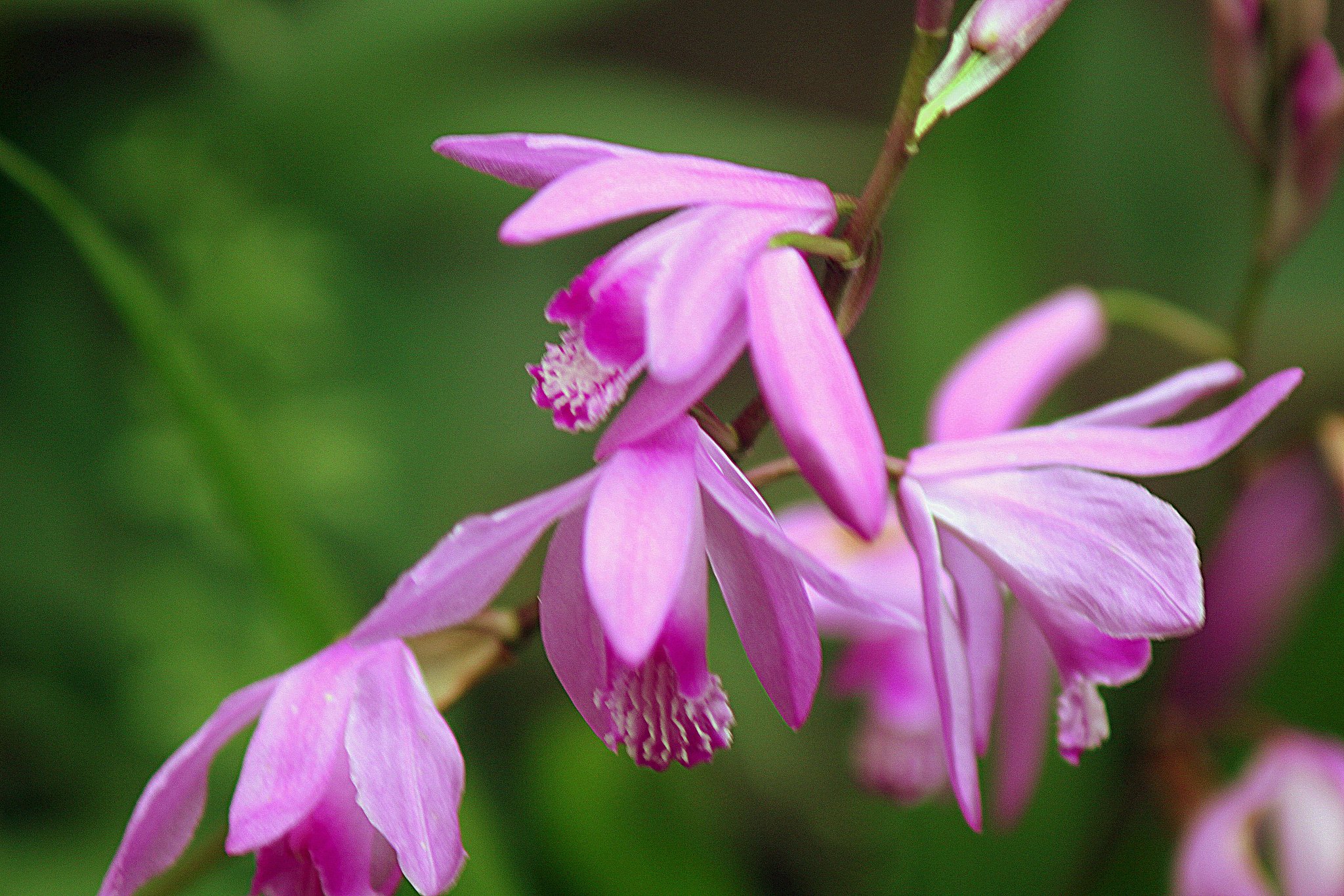 Tamron100-300mmF5-6.3 TELE-MACRO