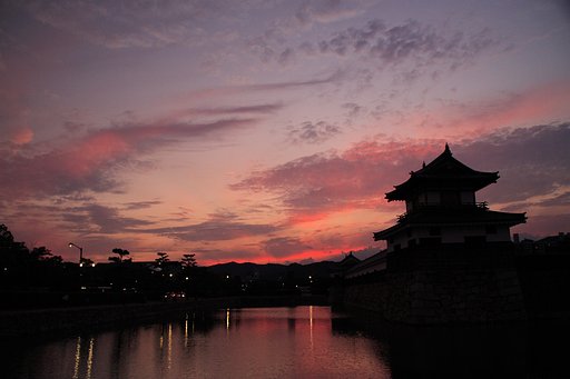 こちらは見た目に近い線
