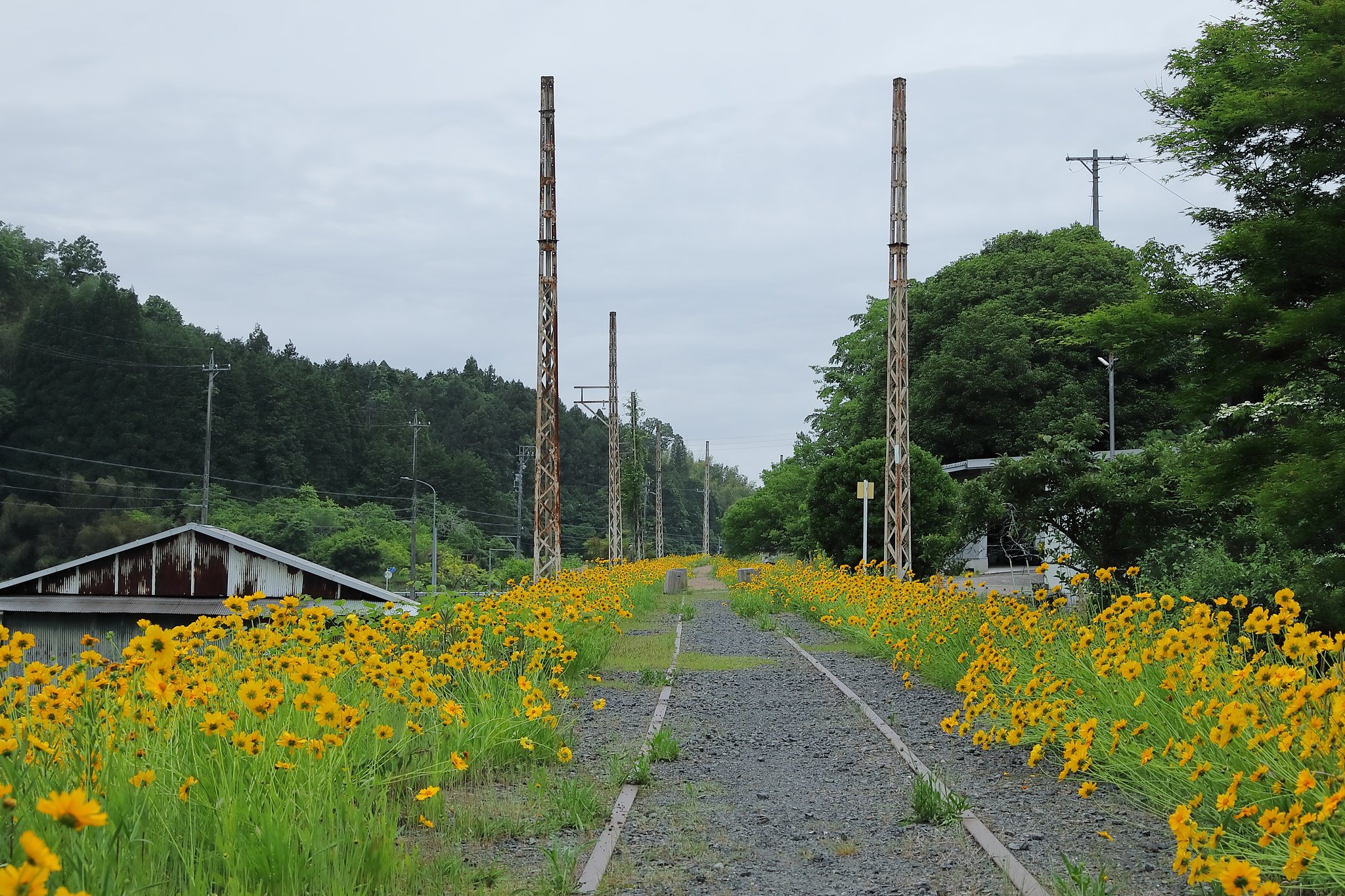 時代の流れ　廃線
