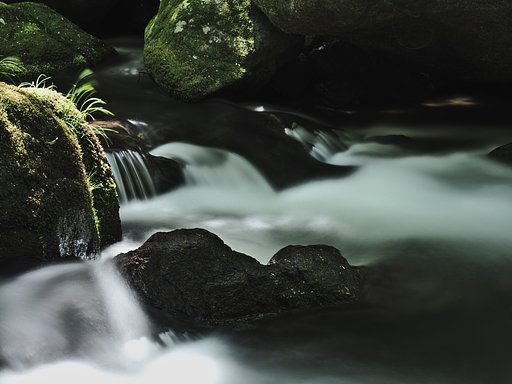 渓流