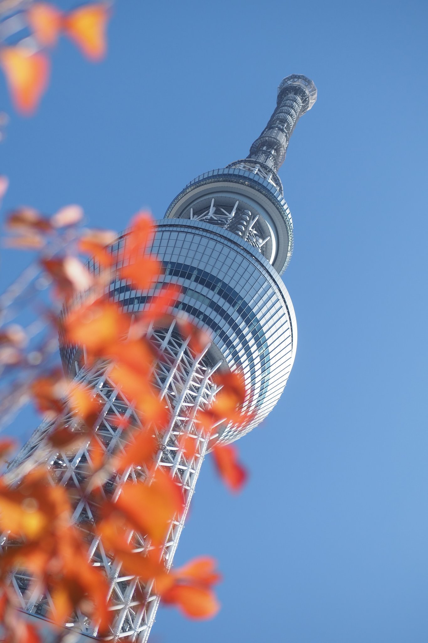 秋空高く