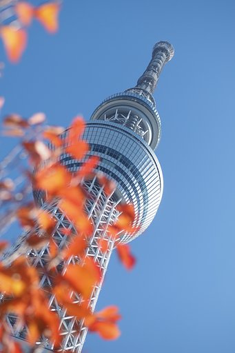 秋空高く