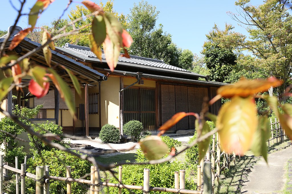 秋の日差し