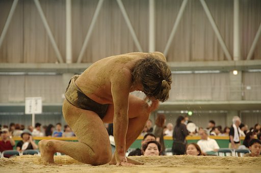 8月17日の写真
