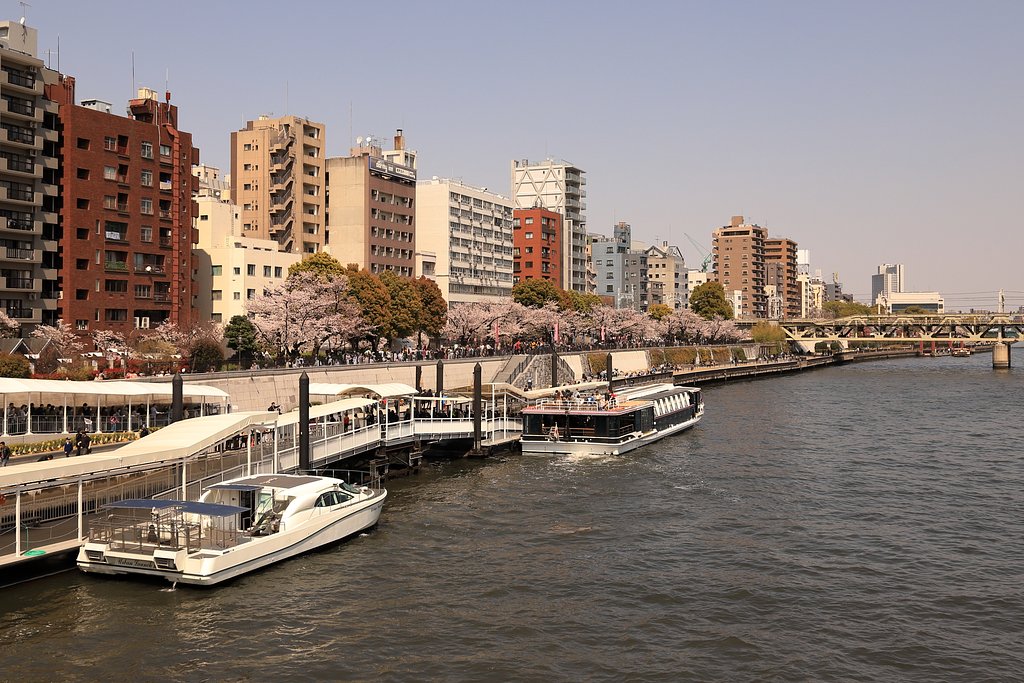 お台場から浅草へ