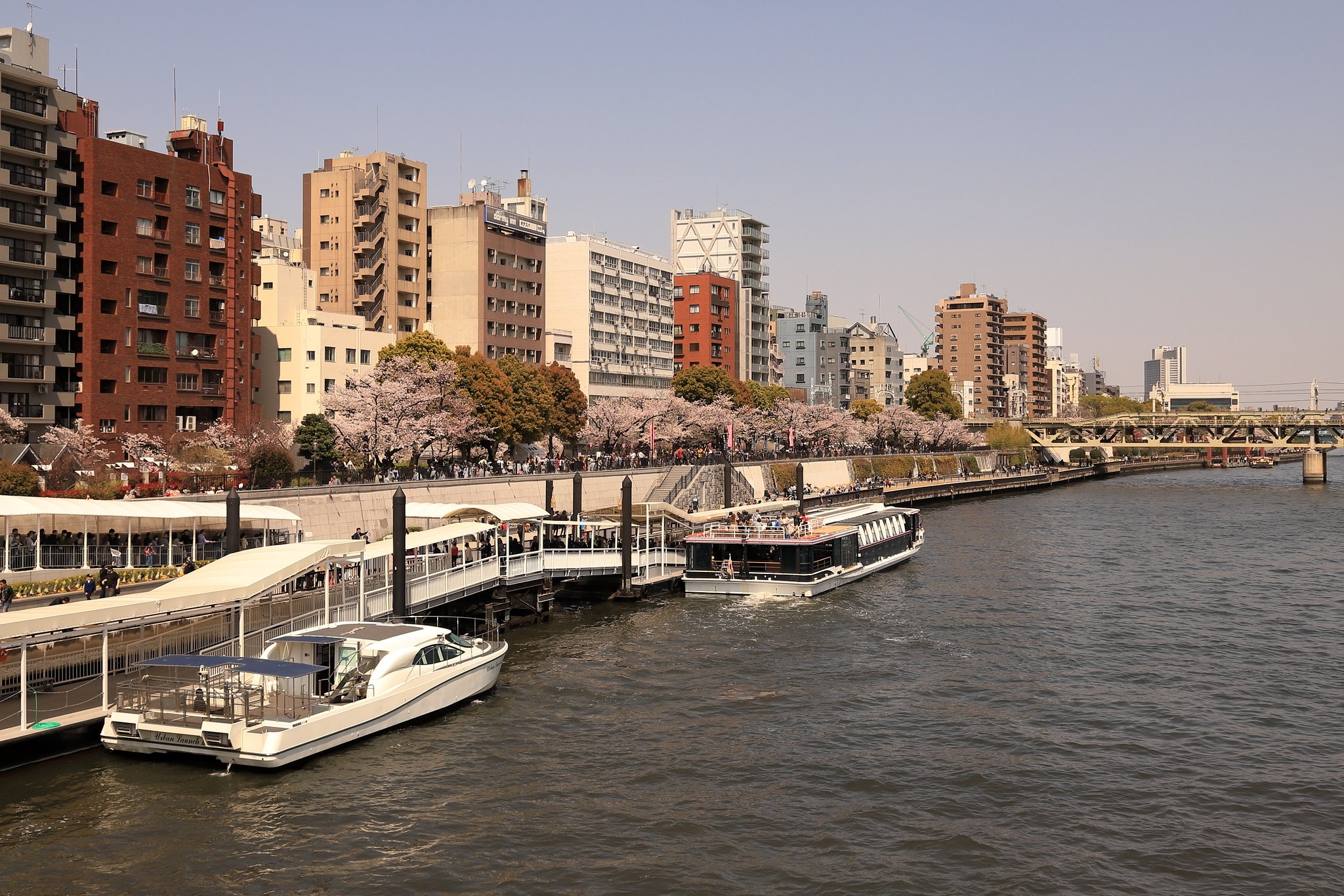 お台場から浅草へ