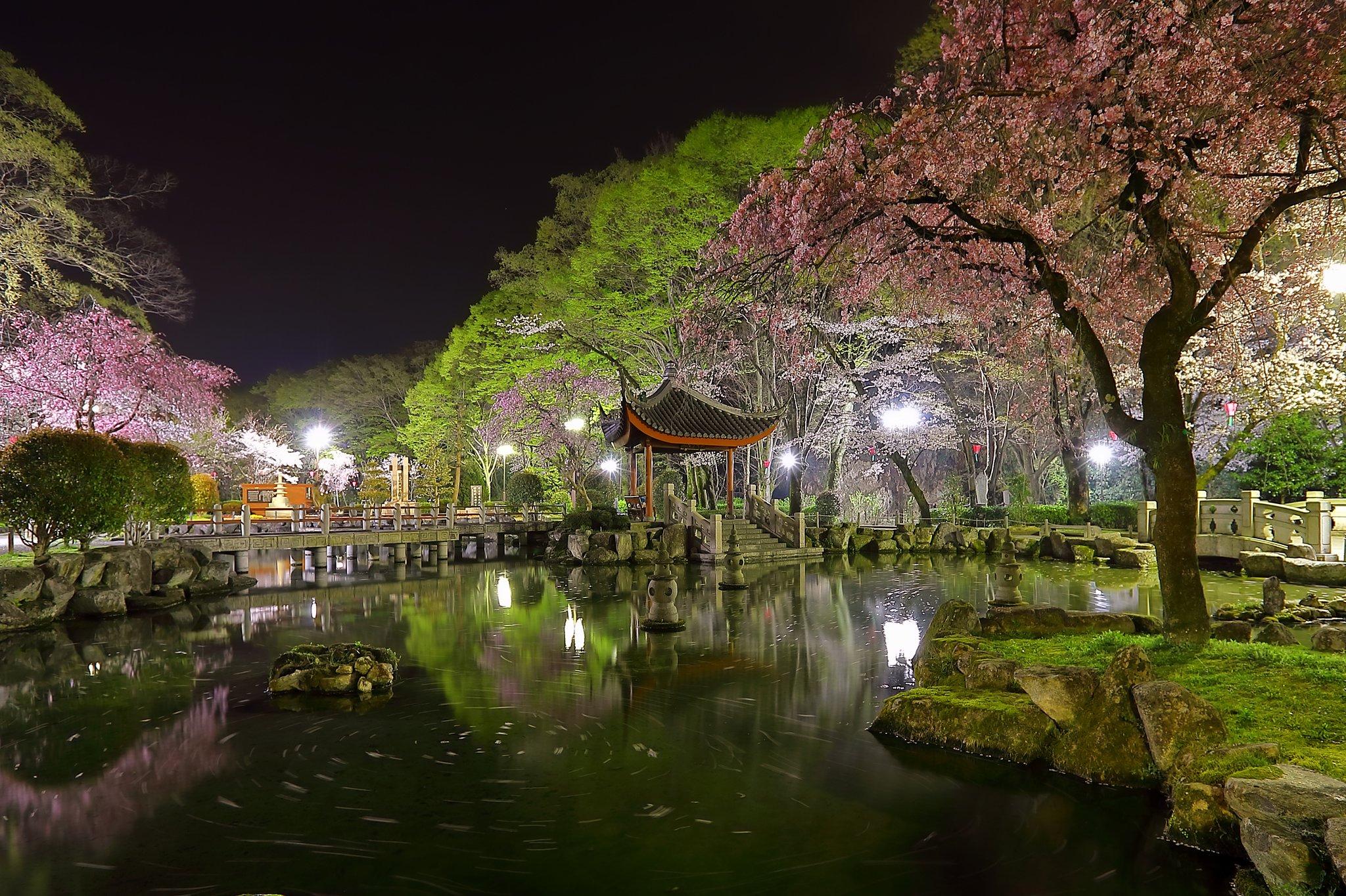 深夜 撮り