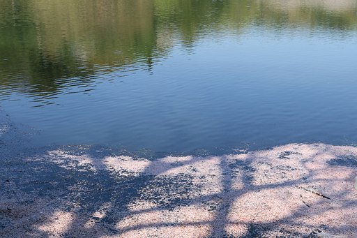 幻想の水面