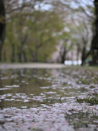 ED 30mm F3.5 Macro