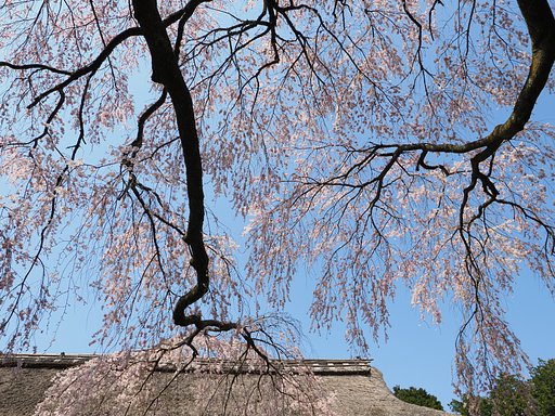 大きく深呼吸