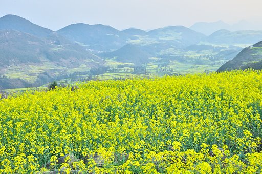 雲南省18