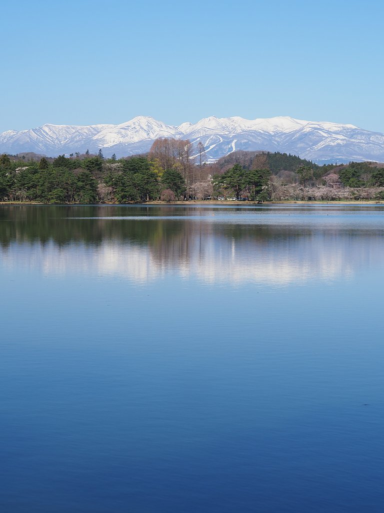 南湖に遅い春