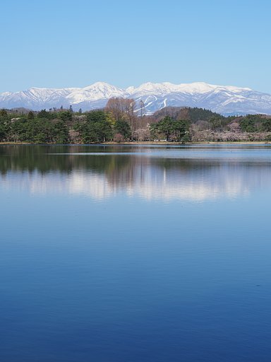 南湖に遅い春