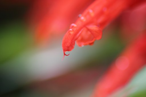 7月16日の写真