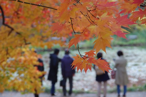 池の淵の秋