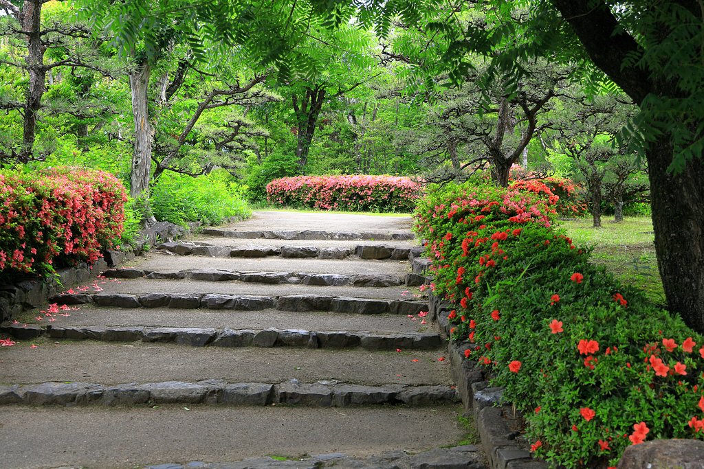 田中公園
