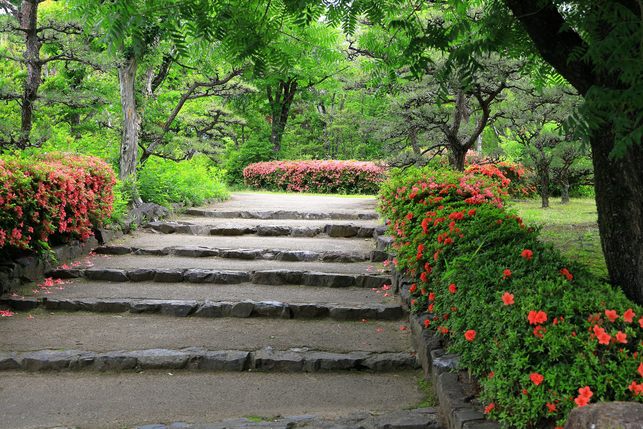 田中公園