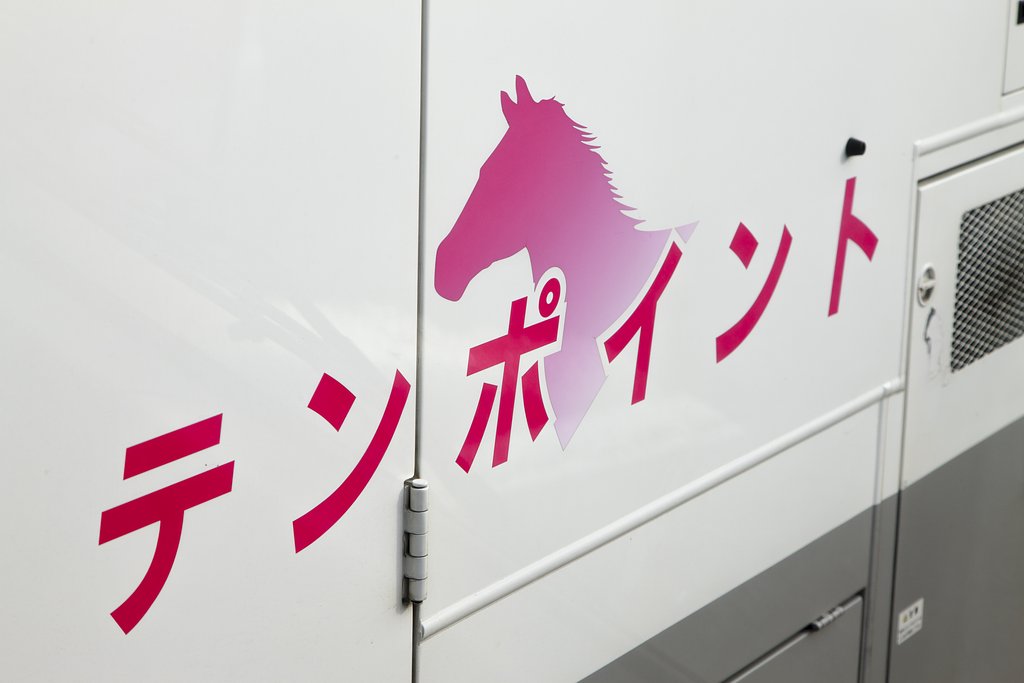 再び君と夢を追う