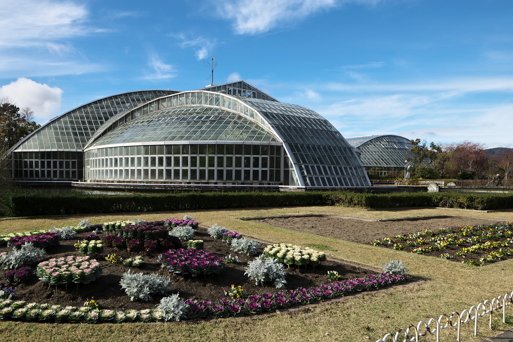 京都府立植物園