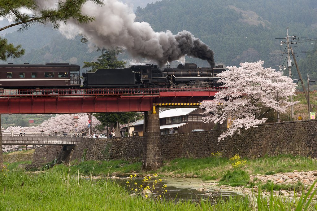 【花のある風景】SL