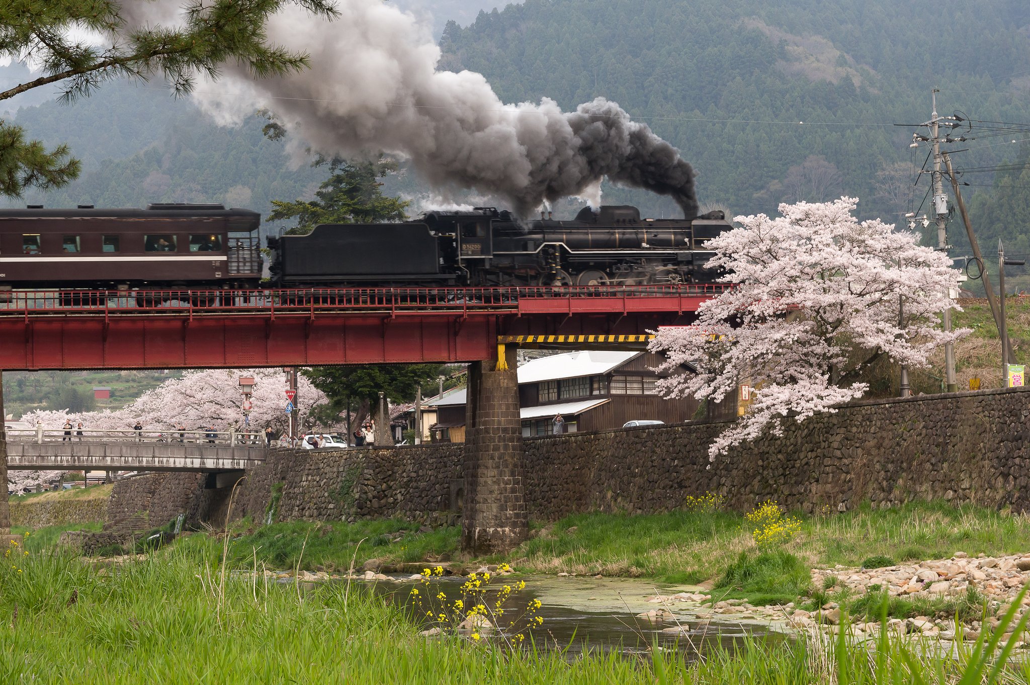【花のある風景】SL
