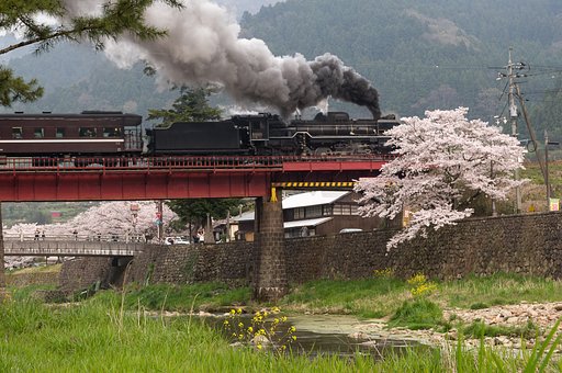 【花のある風景】SL