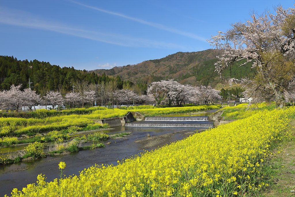 余呉川にて