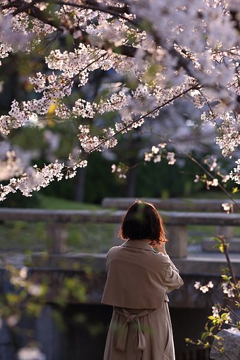 裏街道さんのリクエストに多少応える、の図