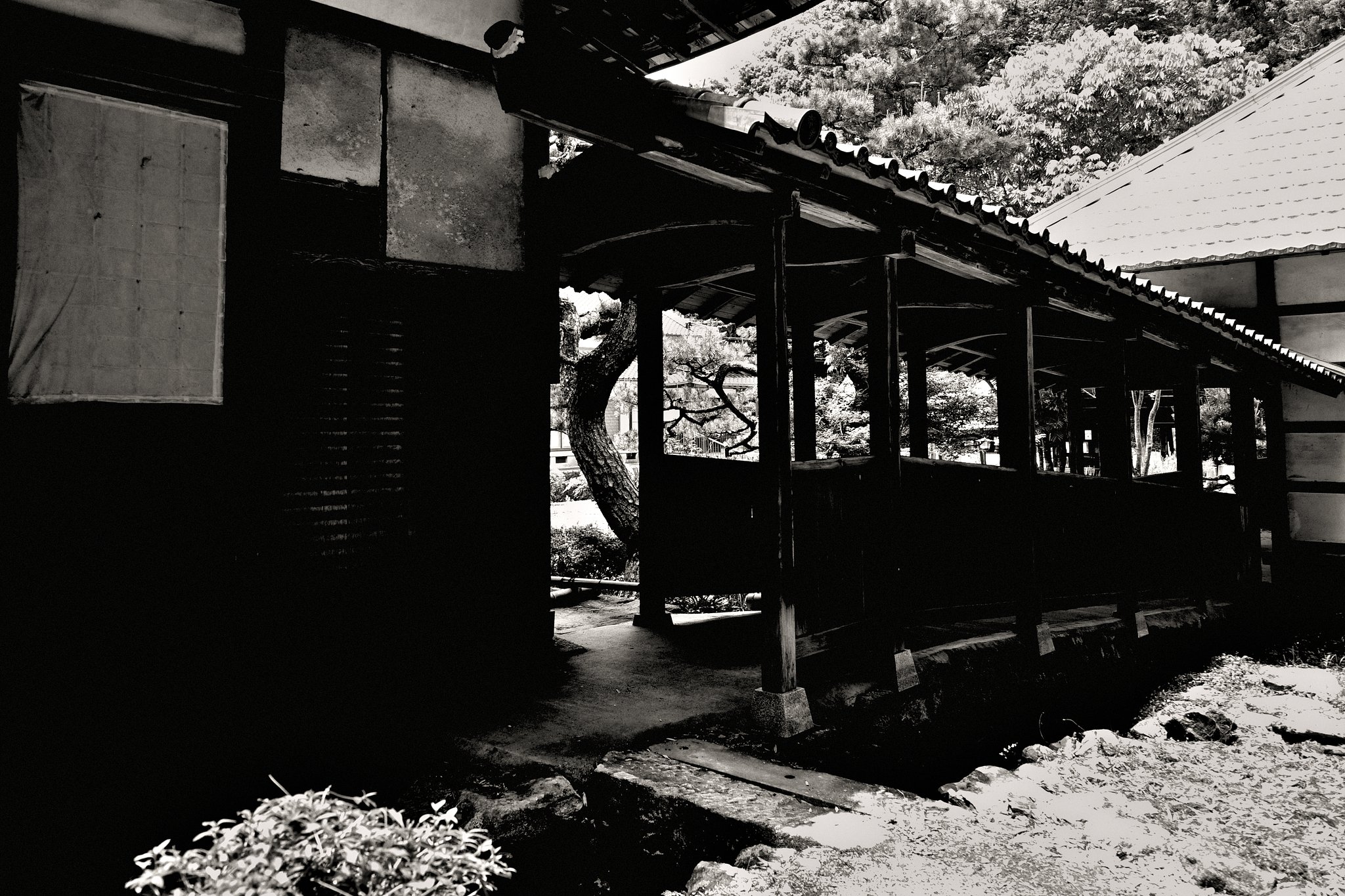 ある禅寺