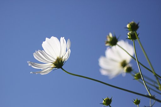 青空
