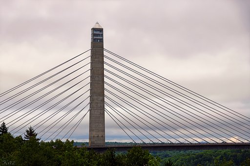 橋