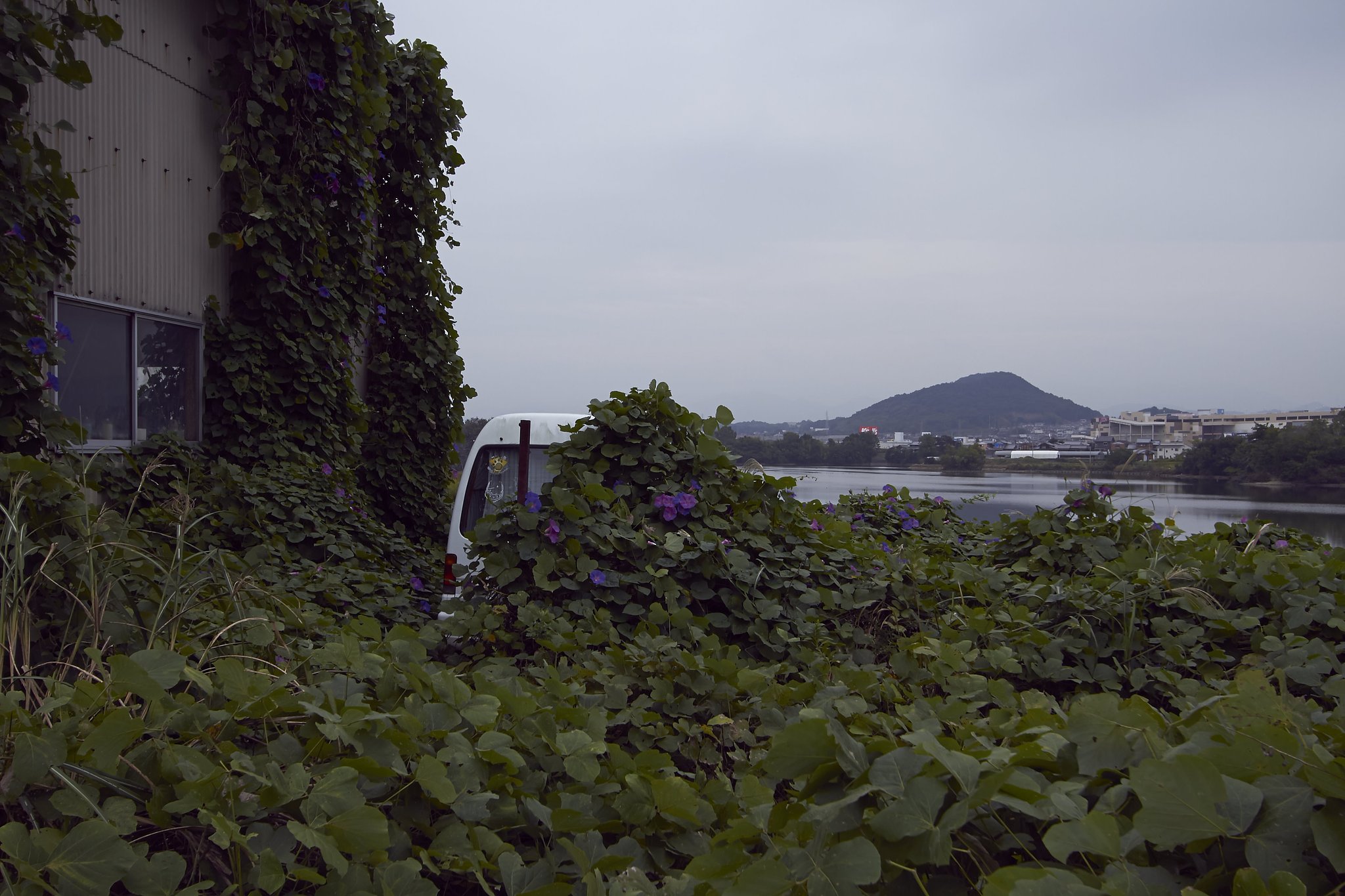 花を添える