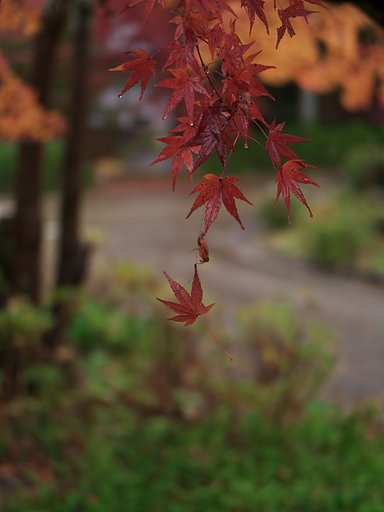 つながり